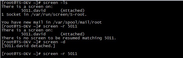 linux screen 命令详解